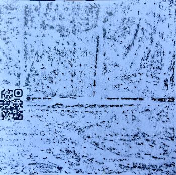 20.06.2026 Holz - wood - bois - drewno Matthias Harnisch * Frottage du jour