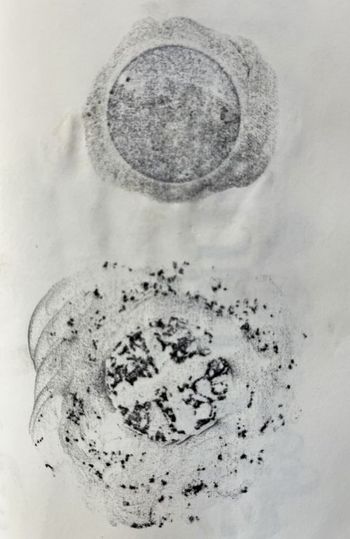 28.07.2023 Papier/Metall - paper/metal - papier/métal - papier/metal Matthias Harnisch * Frottage du jour