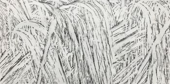 09.12.2021 Holz - wood - bois - drewno Matthias Harnisch * Frottage du jour