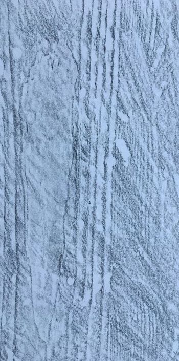 14.02.2022 Holzdielen - timber floorboards - lames de parquet - deski podłogowe Matthias Harnisch * Frottage du jour