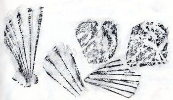 06.05.2022 Muscheln/Steine - shells/stones - coquilles/pierres - muszle/kamienie Matthias Harnisch * Frottage du jour