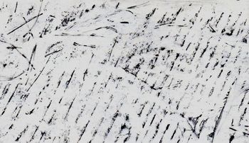 30.01.2026 Holz - wood - bois - drewno Matthias Harnisch * Frottage du jour