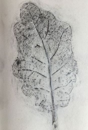 10.08.2020 Eichenblatt - oak leaf - feuille de chêne - liść dębu Matthias Harnisch * Frottage du jour