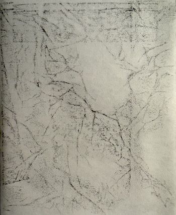 09.12.2025 Papier - paper - papier - papier Matthias Harnisch * Frottage du jour
