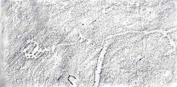 18.04.2022 Travertin - travertine - travertin - trawertyn Matthias Harnisch * Frottage du jour