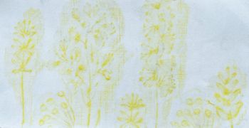 08.05.2024 Leinen - linen - lin - len Matthias Harnisch * Frottage du jour