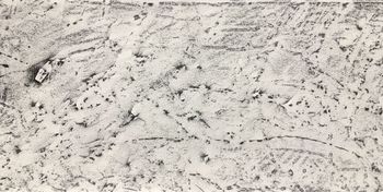 02.08.2020 Farbe/Klebstoff - paint/glue - peinture/colle - farba/klej Matthias Harnisch * Frottage du jour