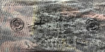 20.05.2020 Verschiedene Oberflächen - various surfaces - surfaces différentes - różne powierzchnie Matthias Harnisch * Frottage du jour