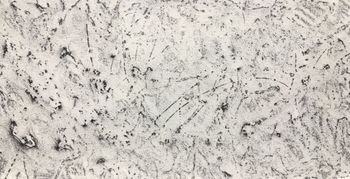 14.08.2020 Farbe/Klebstoff - paint/glue - peinture/colle - farba/klej Matthias Harnisch * Frottage du jour