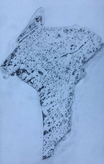 05.01.2020 Wandputz - wall plaster - crépi - tynk Matthias Harnisch * Frottage du jour