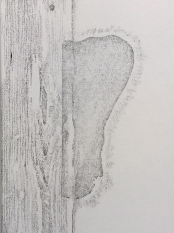 26.04.2016 Holz / Papierschnipsel - wood / paper scrap - bois / morceau de papier - drewno / skrawek papieru Matthias Harnisch - Frottage du jour