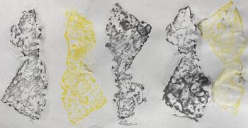 28.02.2023 Eis - ice - glace - lód Matthias Harnisch * Frottage du jour