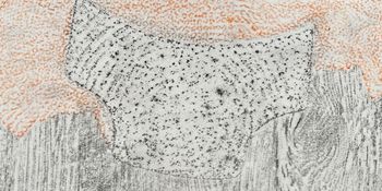 11.09.2024 Verschiedene Oberflächen - various surfaces - surfaces différentes - różne powierzchnie Matthias Harnisch * Frottage du jour