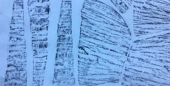 28.03.2022 Holz - wood - bois - drewno Matthias Harnisch * Frottage du jour