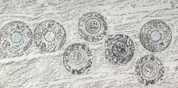 27.06.2021 Verschiedene Oberflächen - various surfaces - surfaces différentes - różne powierzchnie Matthias Harnisch * Frottage du jour
