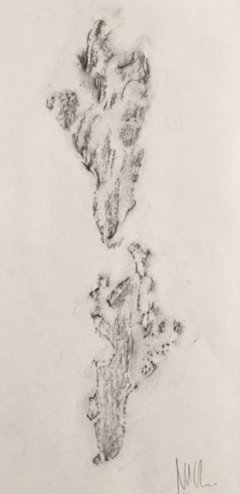 04.03.2017 Kiefernrinde - bark of a Scots pine - écorce d'un pin sylvestre - kora sosny Matthias Harnisch - Frottage du jour
