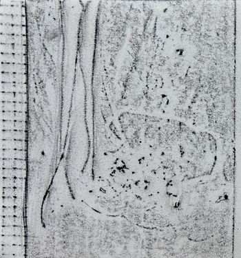 05.10.2026 Verschiedene Oberflächen - various surfaces - surfaces différentes - różne powierzchnie Matthias Harnisch * Frottage du jour