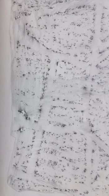 04.05.2017 Buchenrinde - bark of a beech - écorce d'un hêtre - kora buku Matthias Harnisch - Frottage du jour