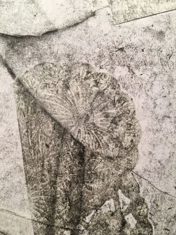 17.12.2021 Papier - paper - papier - papier Matthias Harnisch * Frottage du jour