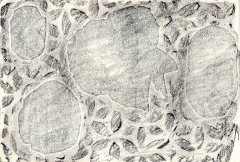 14.02.2025 Holz/Papier - wood/paper - bois/papier - drewno/papier Matthias Harnisch * Frottage du jour