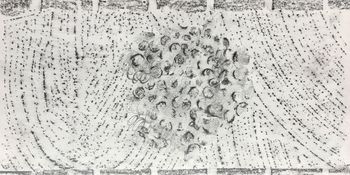 14.11.2020 Verschiedene Oberflächen - various surfaces - surfaces différentes - różne powierzchnie Matthias Harnisch * Frottage du jour