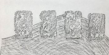 26.12.2020 Spekulatius/Holz - speculaas/wood - spéculoos/bois - ciasteczka korzenne/drewno Matthias Harnisch * Frottage du jour