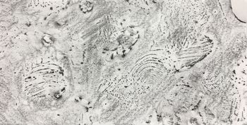 19.07.2021 Papier/Farbe - paper/paint - papier/peinture - papier/farba Matthias Harnisch * Frottage du jour