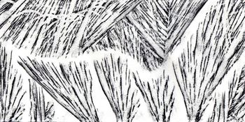 30.12.2021 Holz - wood - bois - drewno Matthias Harnisch * Frottage du jour