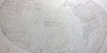 29.05.2016 Tablett/Bucheinband - tray/book cover - plateau/couvre-livres - taca/okładka książki Matthias Harnisch - Frottage du jour