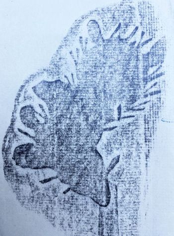 19.09.2022 Papier - paper - papier - papier Matthias Harnisch * Frottage du jour