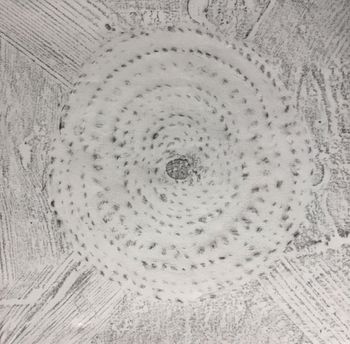 25.01.2017 Verschiedene Oberflächen - various surfaces - surfaces différentes - różne powierzchnie Matthias Harnisch - Frottage du jour