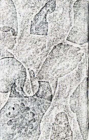23.02.2026 Papier - paper - papier - papier Matthias Harnisch * Frottage du jour