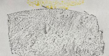 24.02.2023 Eis - ice - glace - lód Matthias Harnisch * Frottage du jour