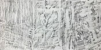 07.01.2021 Holz - wood - bois - drewno Matthias Harnisch * Frottage du jour