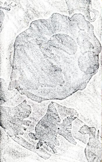 06.07.2026 Papier - paper - papier - papier Matthias Harnisch * Frottage du jour