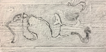 06.03.2018  Holzdiele/Wachs - timber floorboard/wax - lame de parquet/cire - deska podłogowa/wosk Matthias Harnisch - Frottage du jour