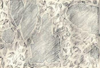 09.02.2025 Holz/Papier - wood/paper - bois/papier - drewno/papier Matthias Harnisch * Frottage du jour