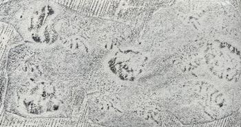 24.12.2023 Verschiedene Oberflächen - various surfaces - surfaces différentes - różne powierzchnie Matthias Harnisch * Frottage du jour