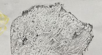25.02.2023 Eis - ice - glace - lód Matthias Harnisch * Frottage du jour