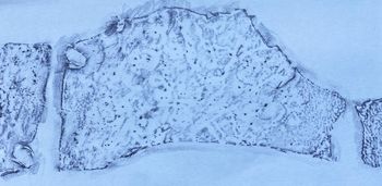 11.03.2023 Eis - ice - glace - lód Matthias Harnisch * Frottage du jour