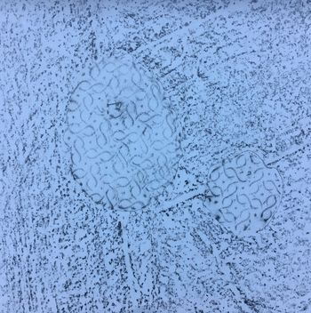 19.09.2017 Verschiedene Oberflächen - various surfaces - surfaces différentes - różne powierzchnie Matthias Harnisch - Frottage du jour