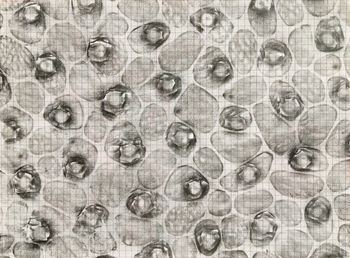 13.02.2020 Kunststoff - synthetic material - matière plastique - tworzywo Matthias Harnisch * Frottage du jour