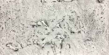 17.07.2021 Papier/Farbe - paper/paint - papier/peinture - papier/farba Matthias Harnisch * Frottage du jour