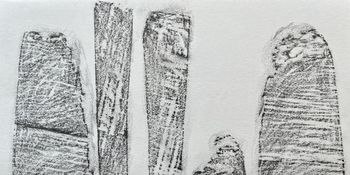 18.03.2025 Holz - wood - bois - drewno Matthias Harnisch * Frottage du jour