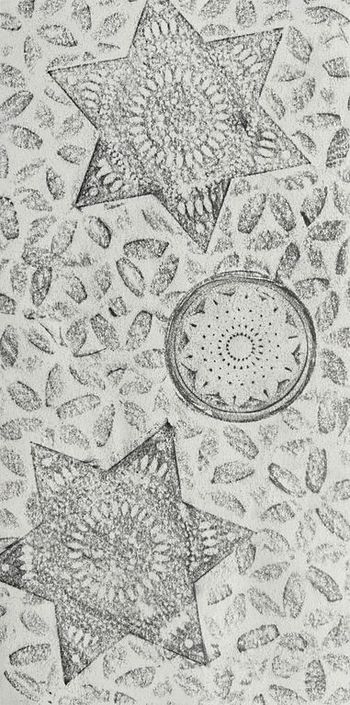 25.01.2024 Verschiedene Oberflächen - various surfaces - surfaces différentes - różne powierzchnie Matthias Harnisch * Frottage du jour