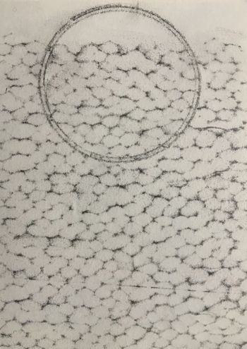 26.02.2020 Verschiedene Oberflächen - various surfaces - surfaces différentes - różne powierzchnie Matthias Harnisch * Frottage du jour