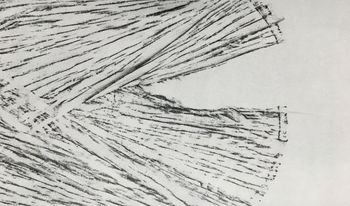 01.12.2021 Holz - wood - bois - drewno Matthias Harnisch * Frottage du jour