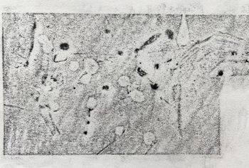 26.05.2023 Verschiedene Oberflächen - various surfaces - surfaces différentes - różne powierzchnie Matthias Harnisch * Frottage du jour