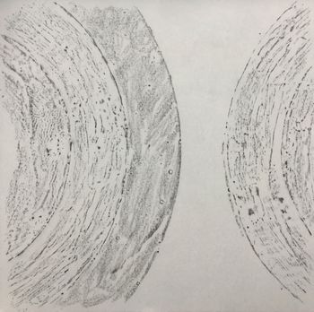 11.09.2017 Verschiedene Oberflächen - various surfaces - surfaces différentes - różne powierzchnie Matthias Harnisch - Frottage du jour