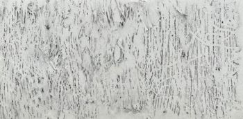21.07.2023 Holz - wood - bois - drewno Matthias Harnisch * Frottage du jour